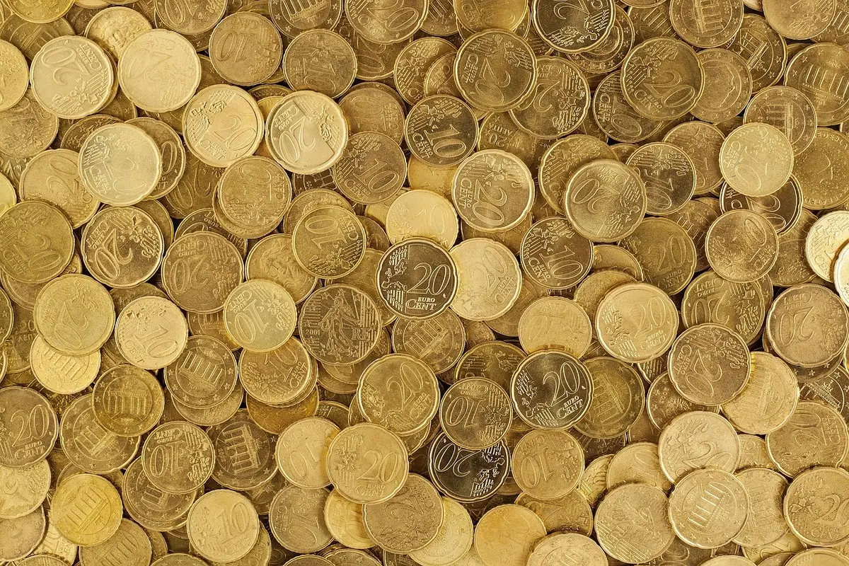 Immagine selezionata