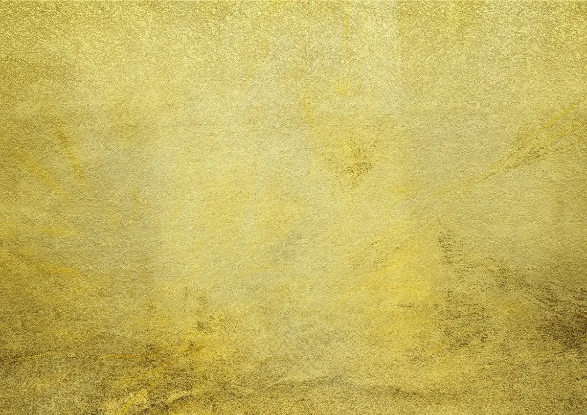Immagine selezionata