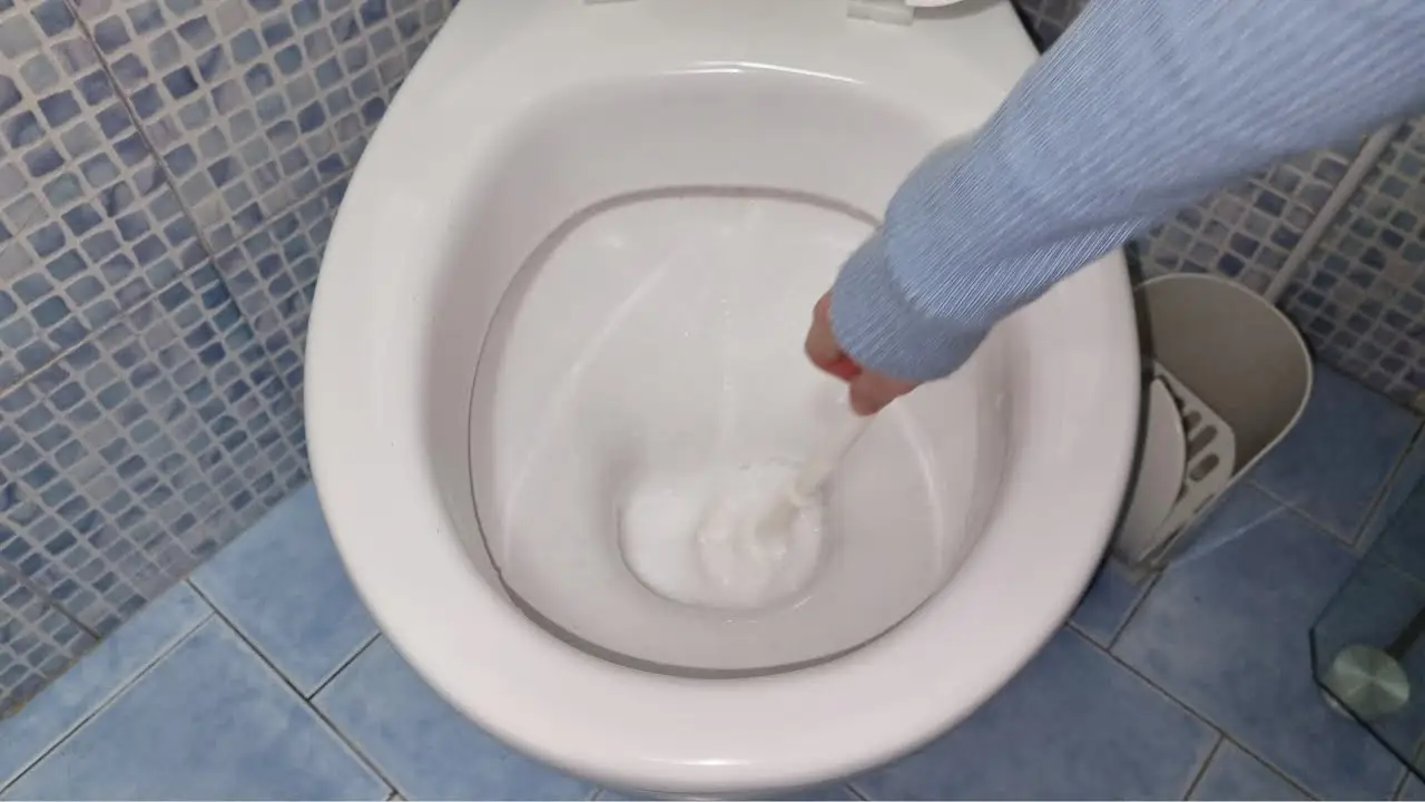 Immagine selezionata