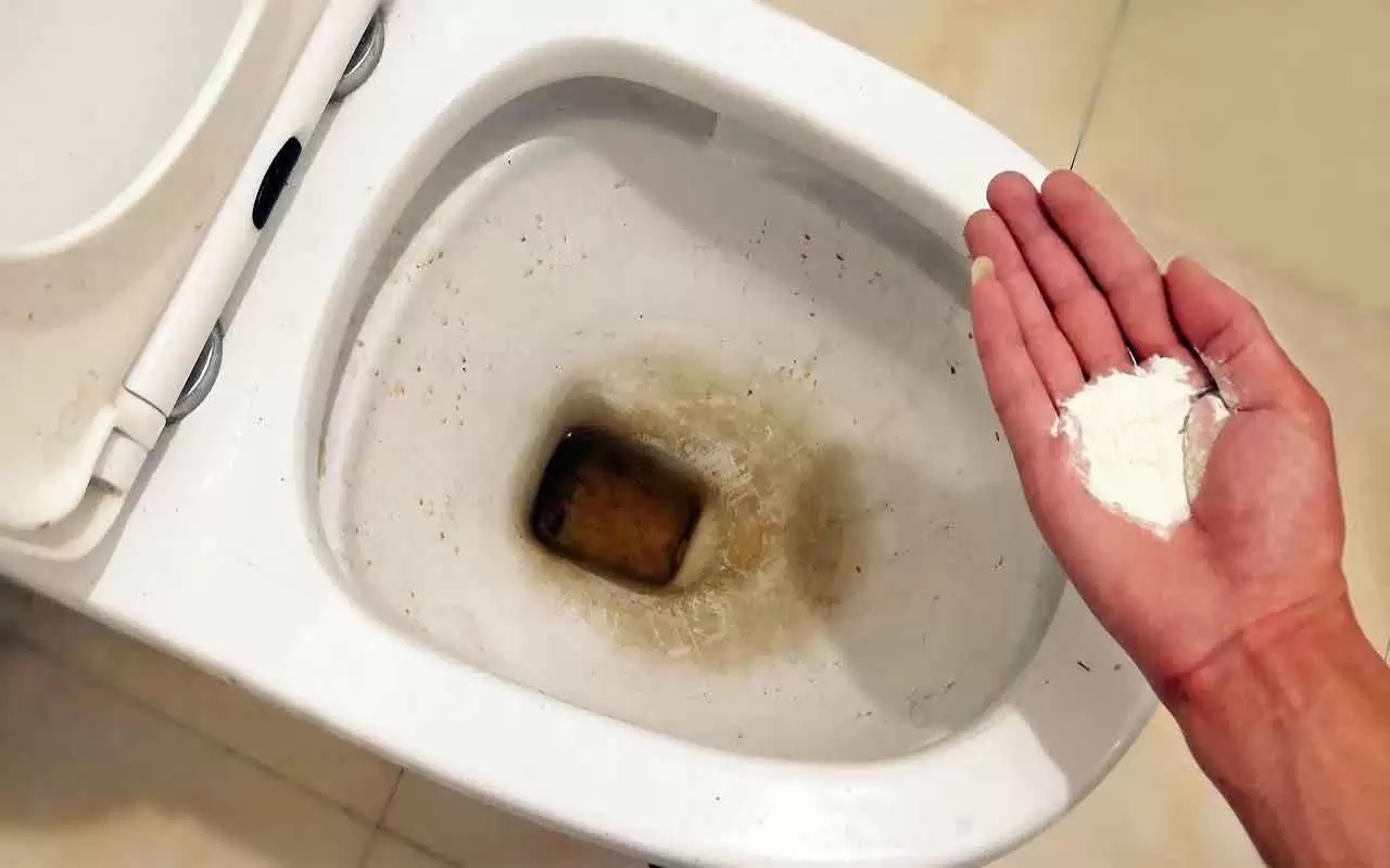 Immagine selezionata