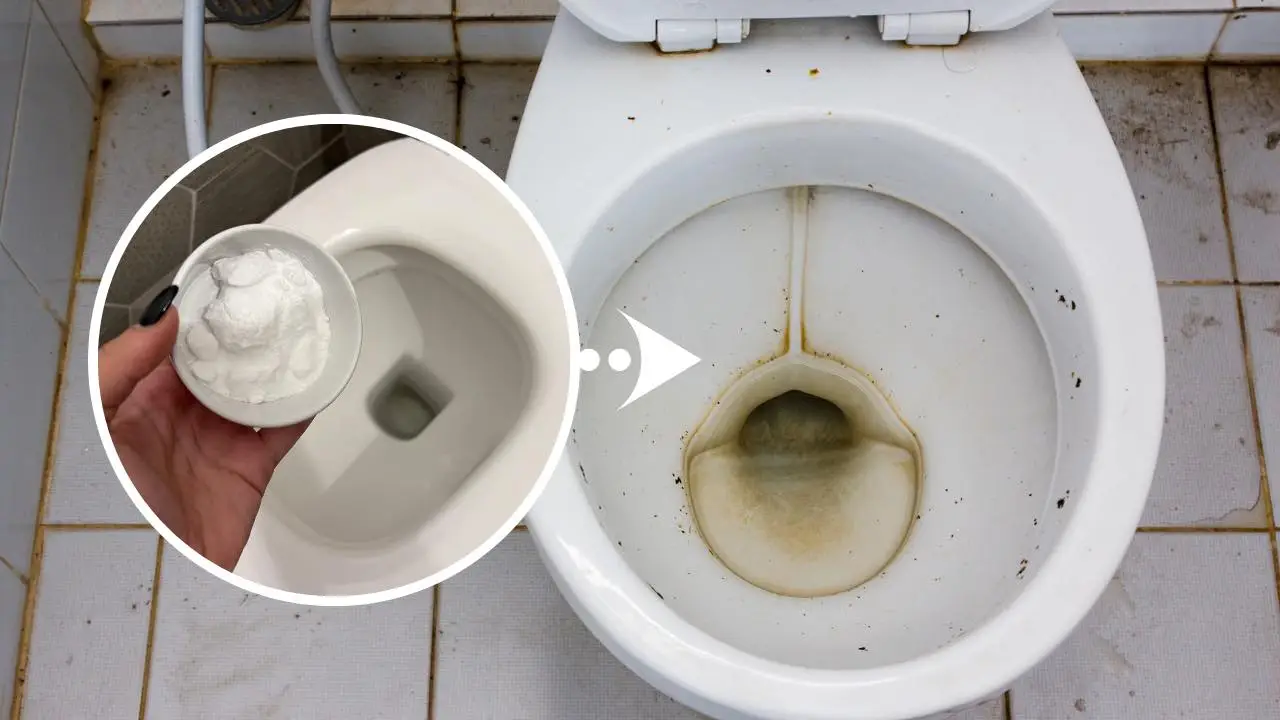 Immagine selezionata