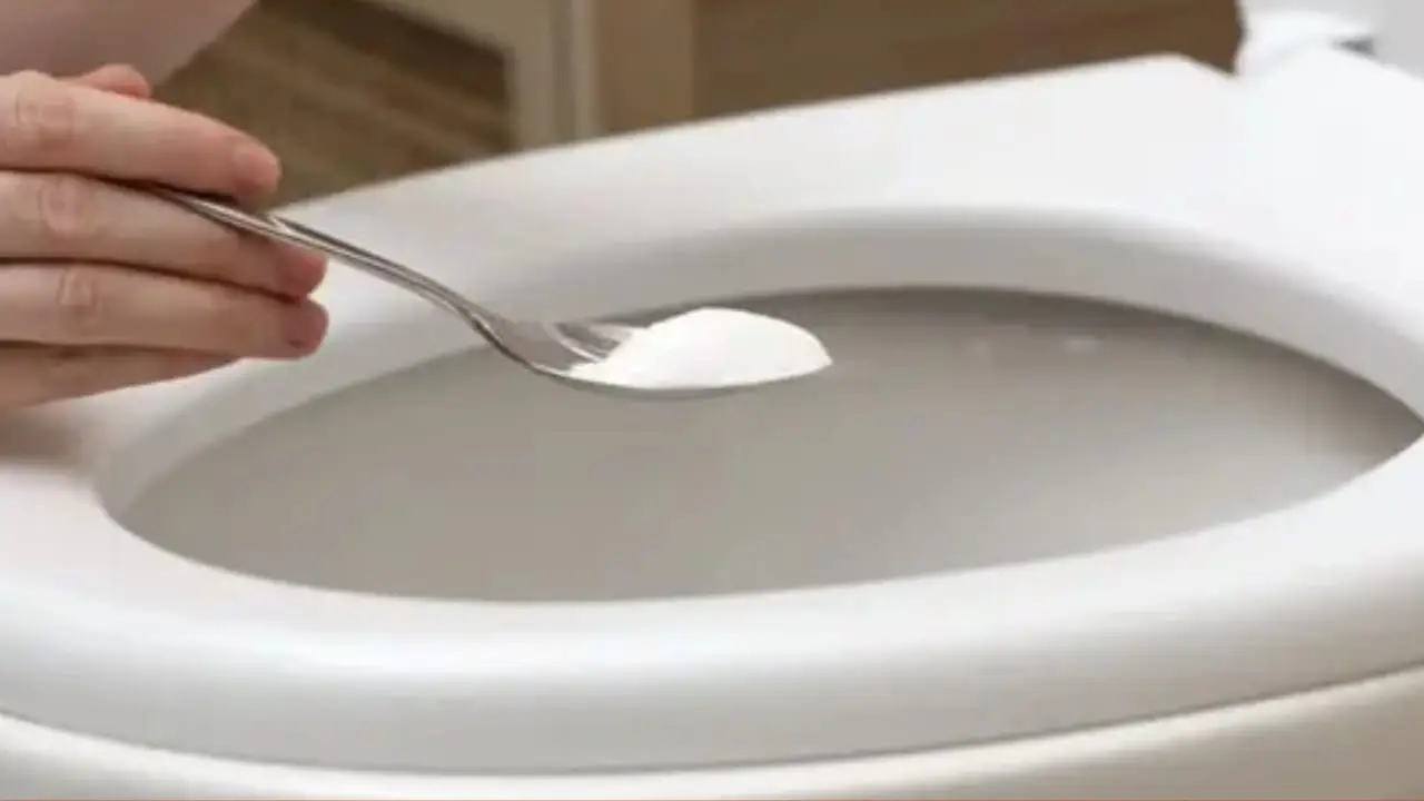 Immagine selezionata