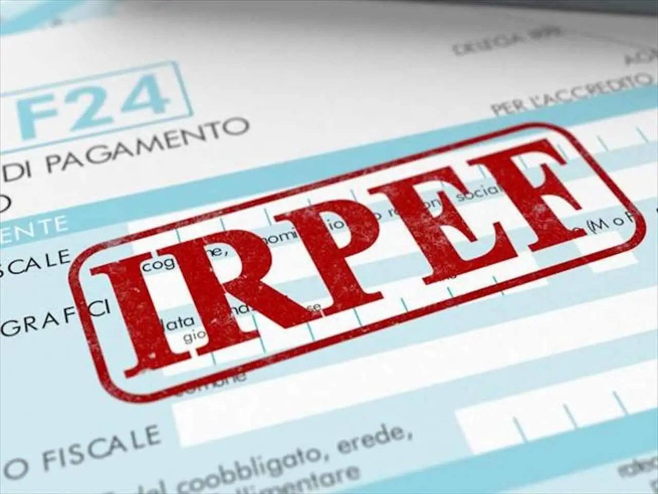 Immagine selezionata