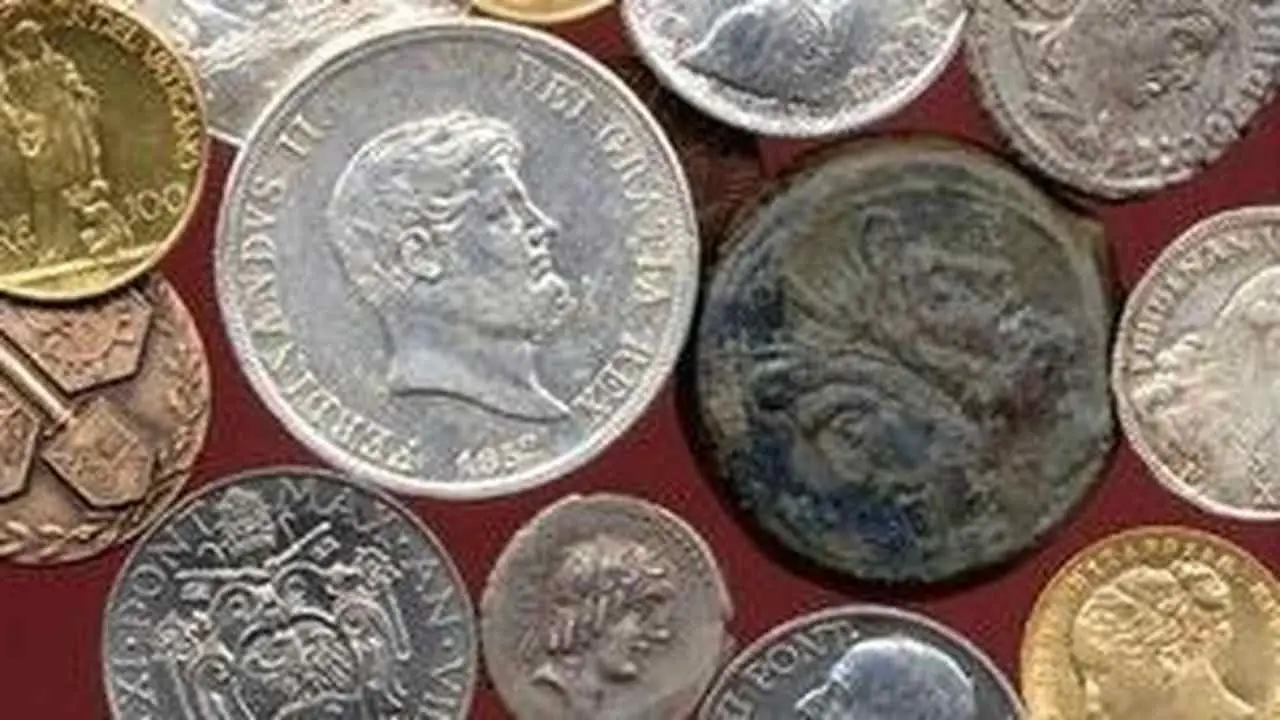 Immagine selezionata