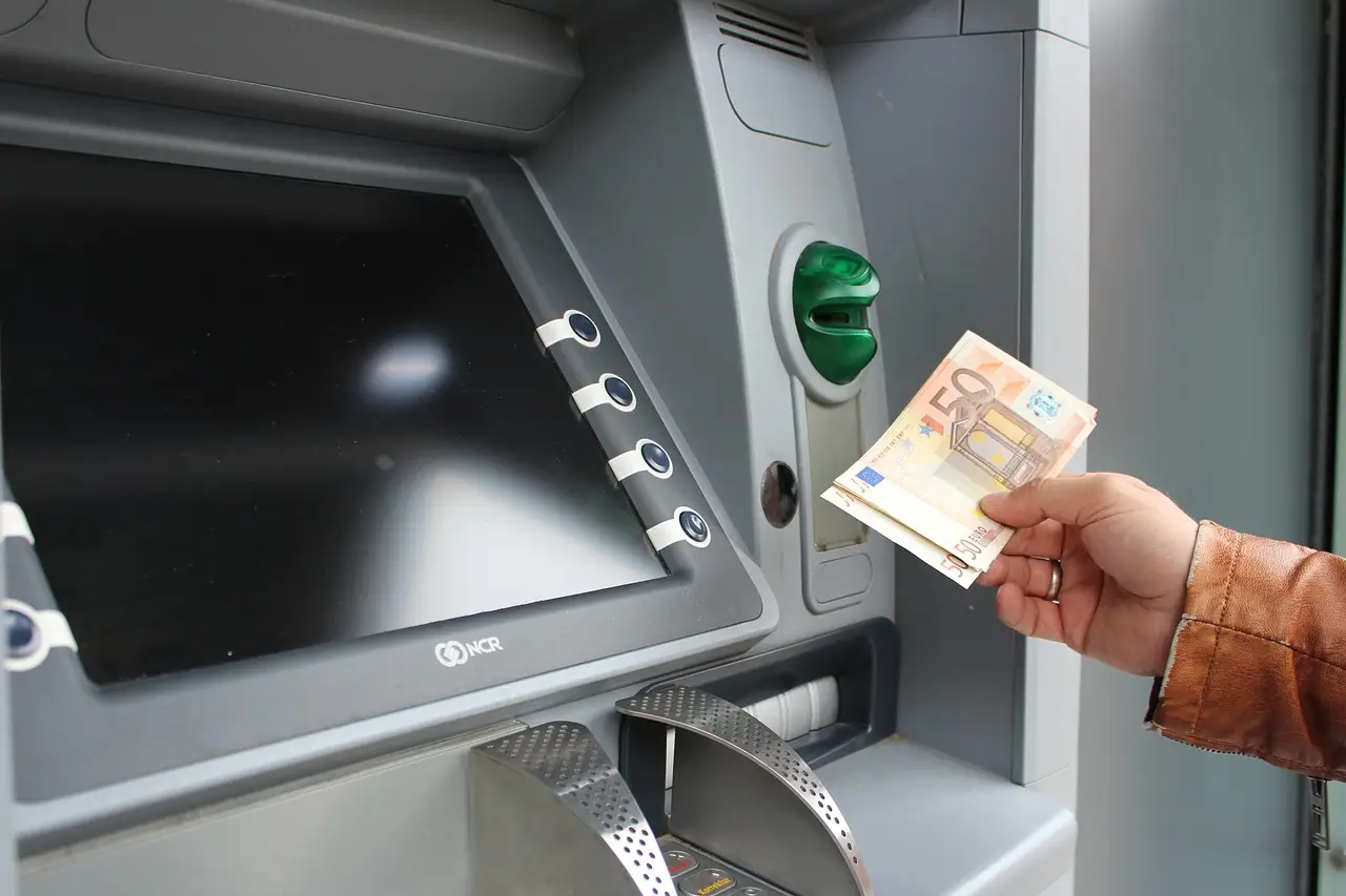 Immagine selezionata